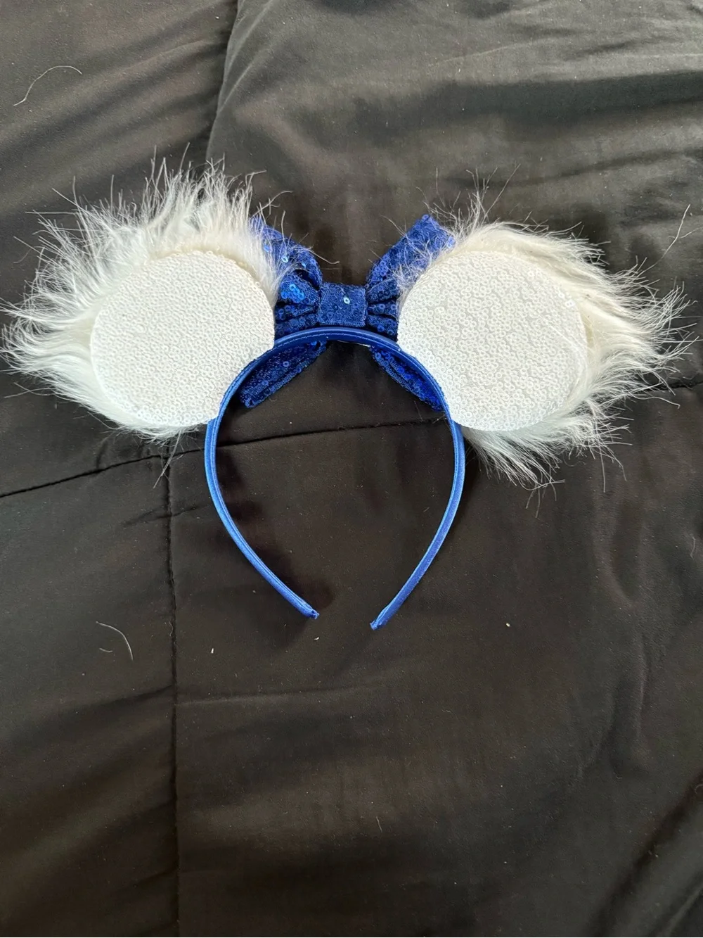 Donald Mickey Ears